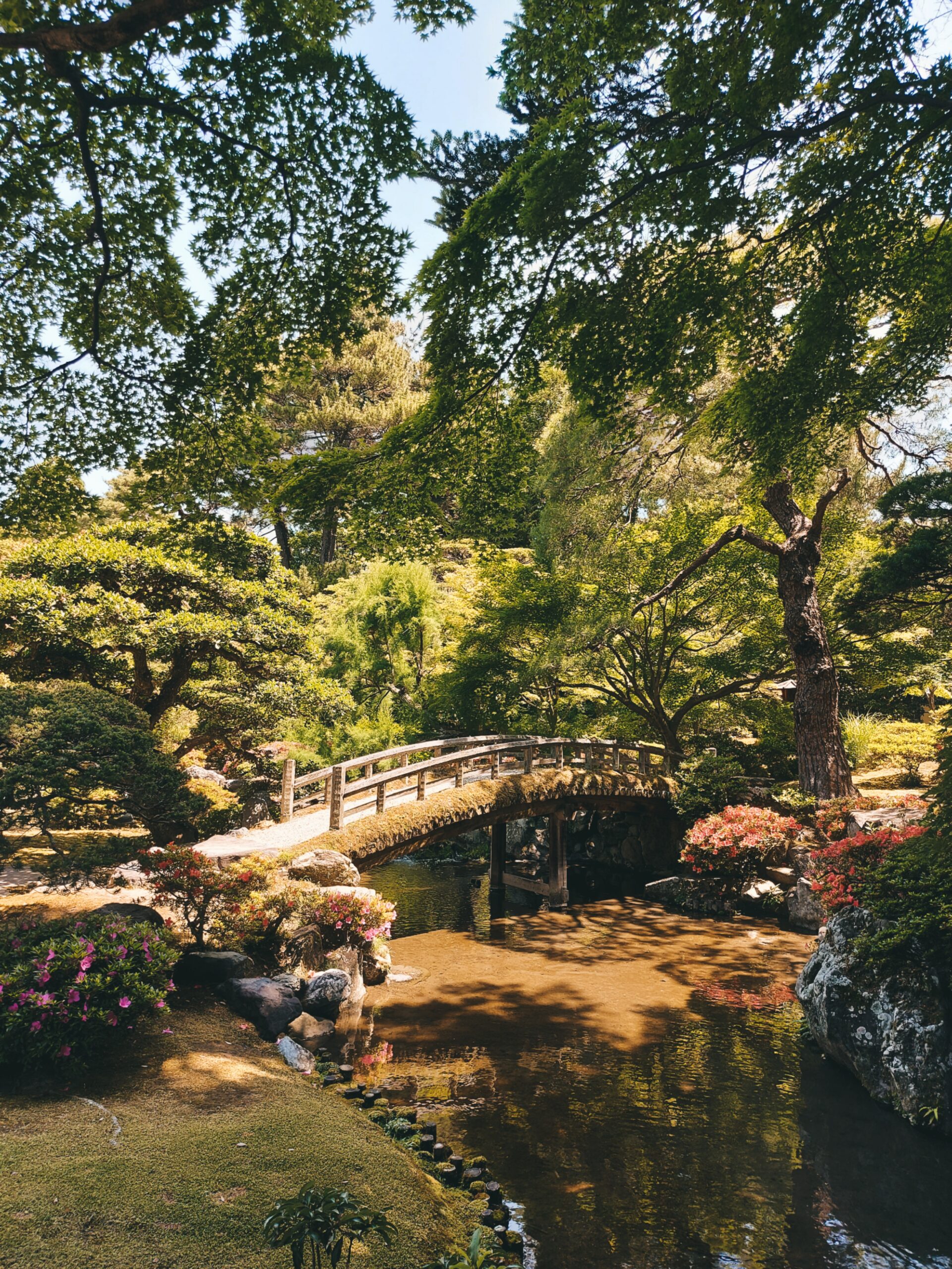 The Heavenly Bridge