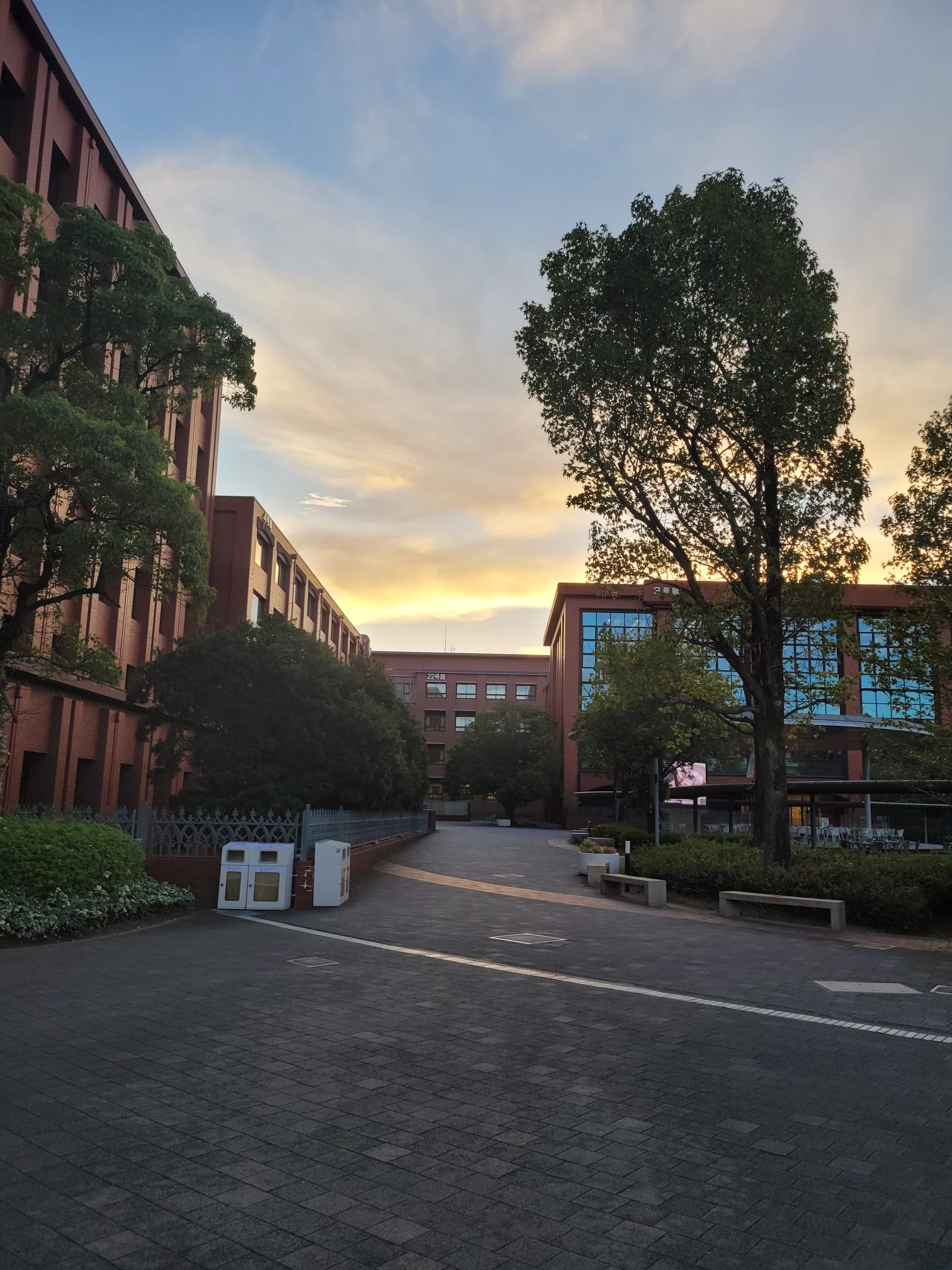 Ryukoku University after Class