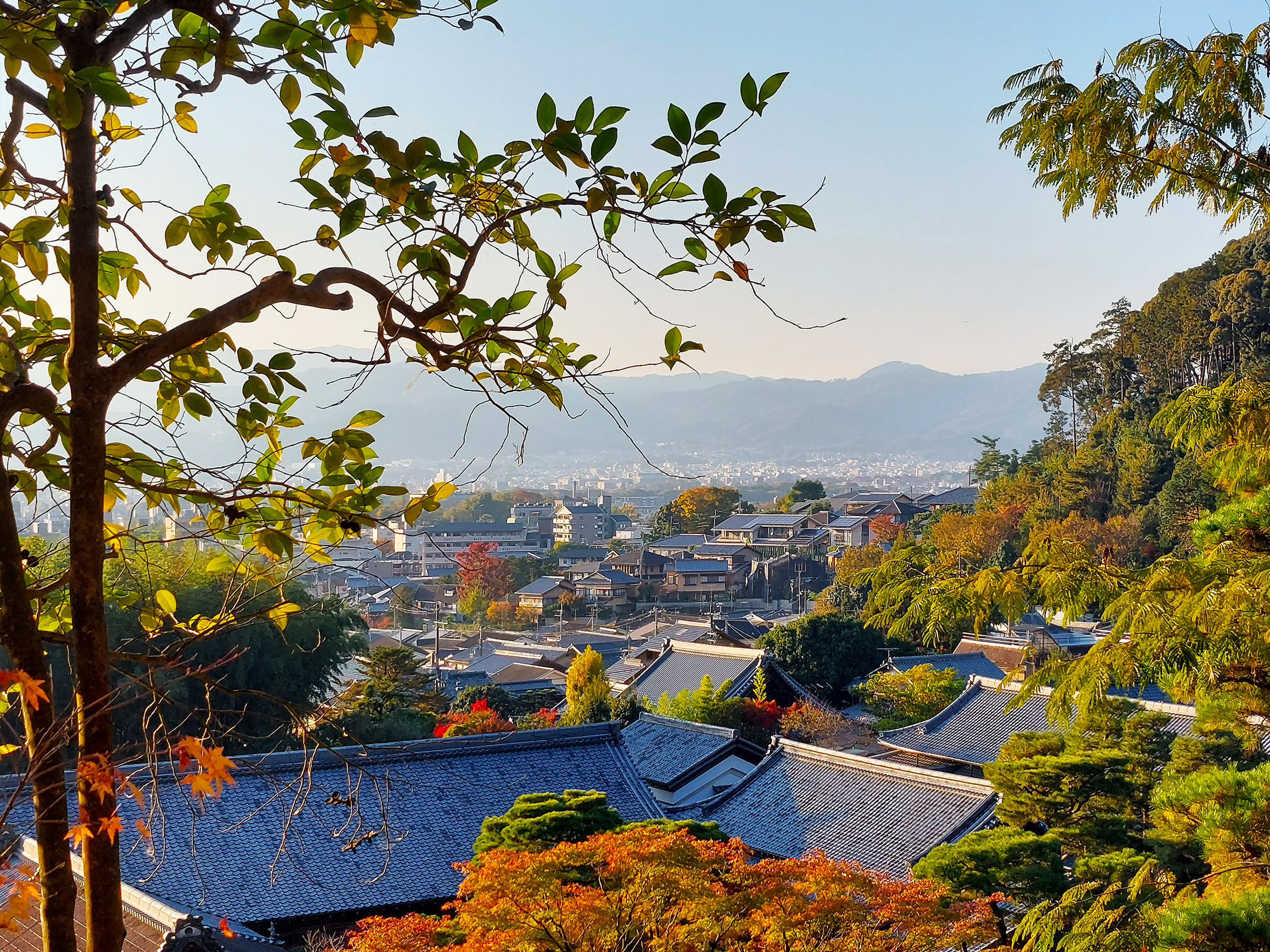 Kyoto's esthetics