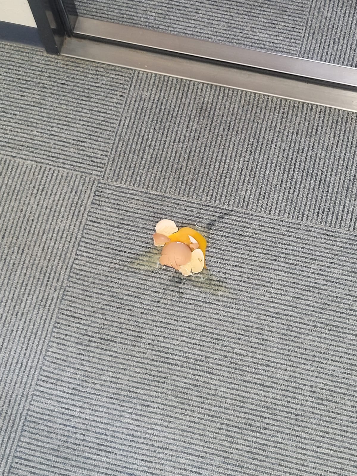 The egg on the carpet