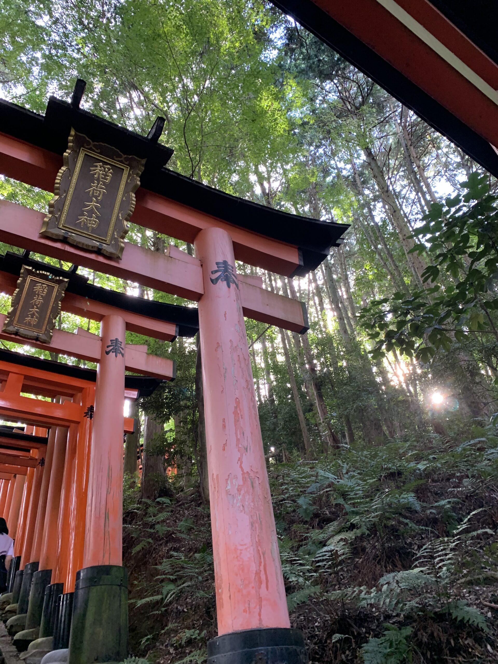 Paths of Fushimi Inari Taisha